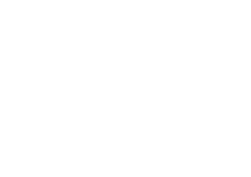 Planesti Logo